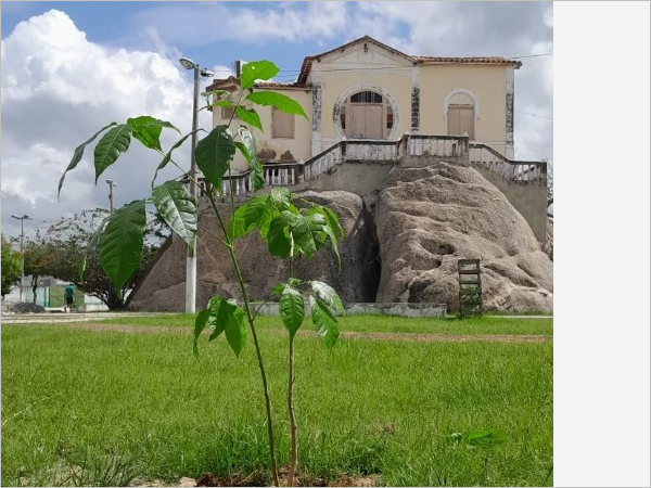 Pela segunda vez na história e na atual gestão, Quixadá é contemplado com o título de Selo Município Verde