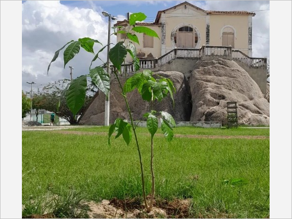 Quixadá recebe Selo TCE Ceará Sustentável pela primeira vez em sua história